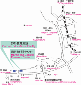 館山野外教育施設付近の地図