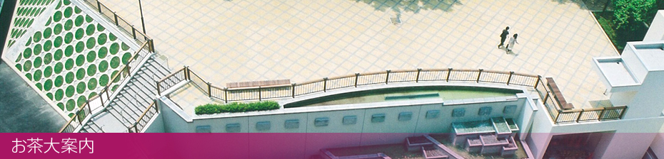 お茶大案内