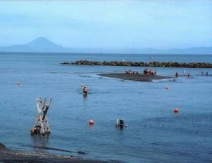 海水浴場