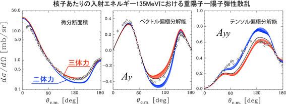 様子あたりの入射エネルギー135MeVにおける重陽子一陽子弾性散乱