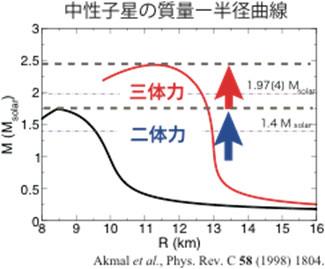 中性子星の質量ー半径曲線