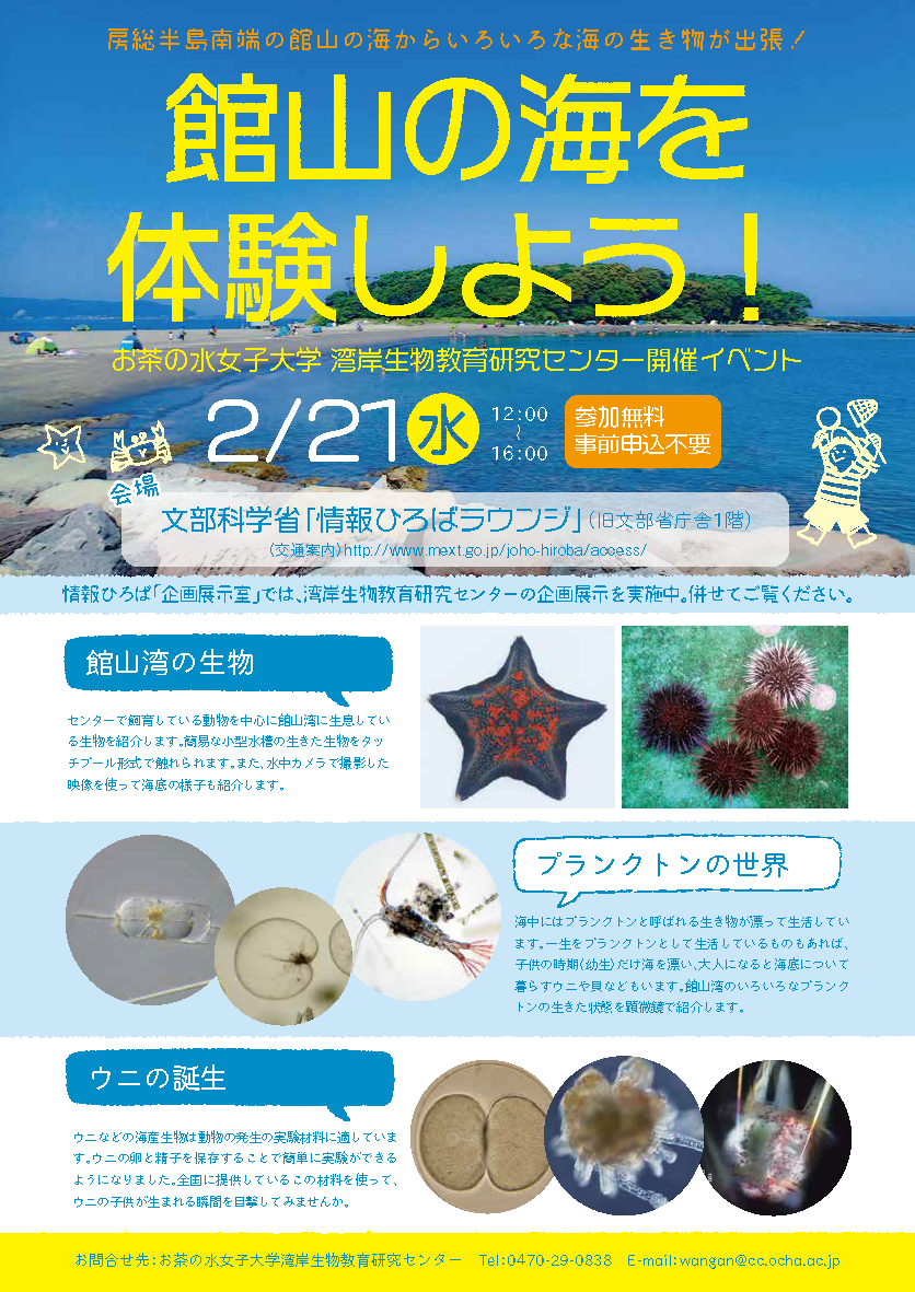 館山の海を体験しよう 湾岸生物教育研究センターが文部科学省 情報ひろばラウンジ でイベントを実施します お茶の水女子大学