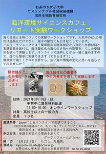 海の環境と生物についての実験ワークショップ参加者募集