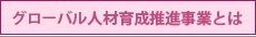 グローバル人材育成推進事業とは