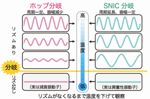 図1：リズム消失の二つのタイプ