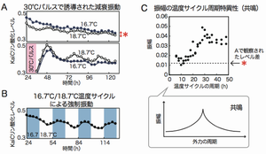 図2：体内時計の共鳴現象