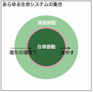 図3：減衰振動と自律振動