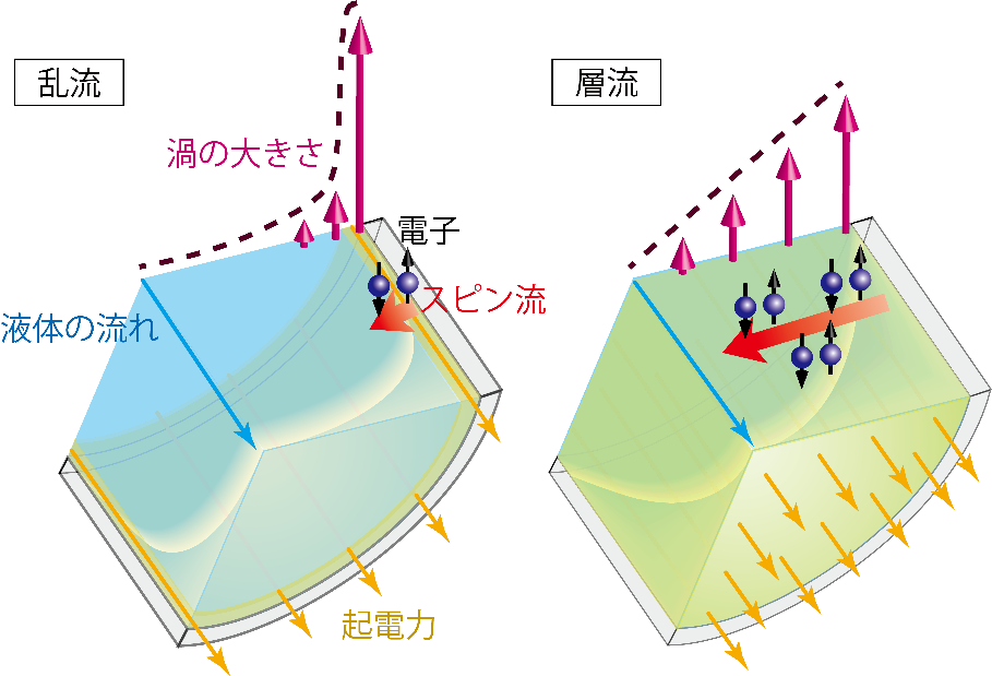 大塚 スピン