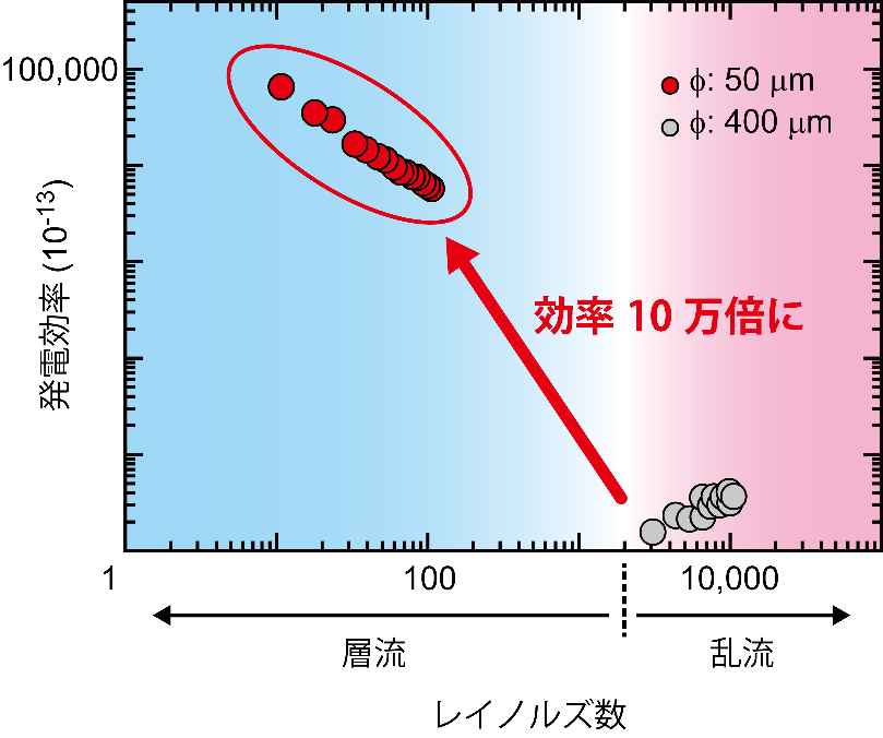 大塚 スピン