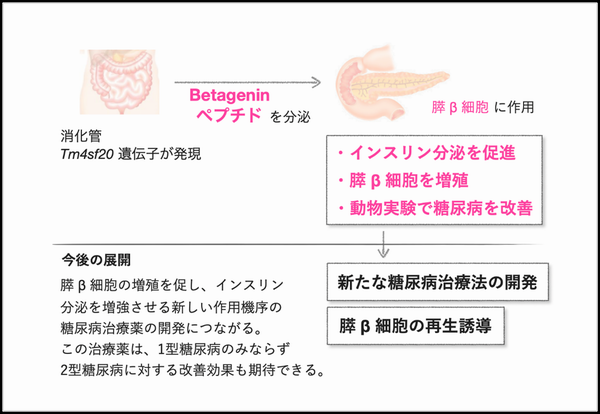 概要図