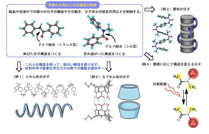 機能性芳香族アミドフォルダマーの構築と動的立体制御の研究