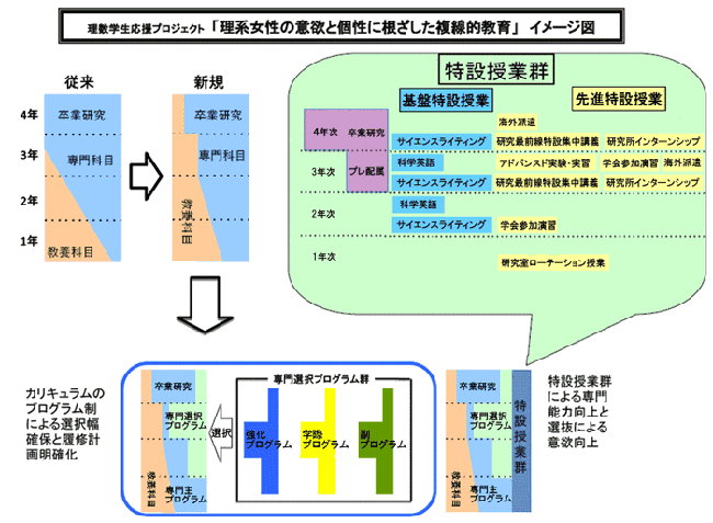  理系女性の意欲と個性に根ざした複線的教育（イメージ図）